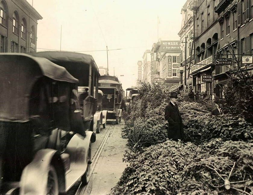 Christmas trees lined up  in Wilm DE 1921