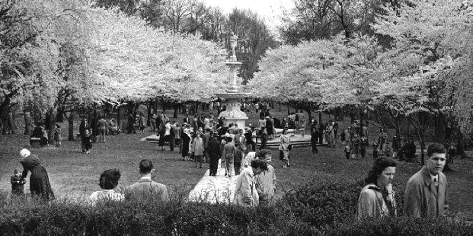 Saint Josephine Gardens Fountain across the street from the Brandywine Zoo in Wilmington Delaware Cherry Blossoms Festival 1950
